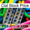 Cial Stock Price 31